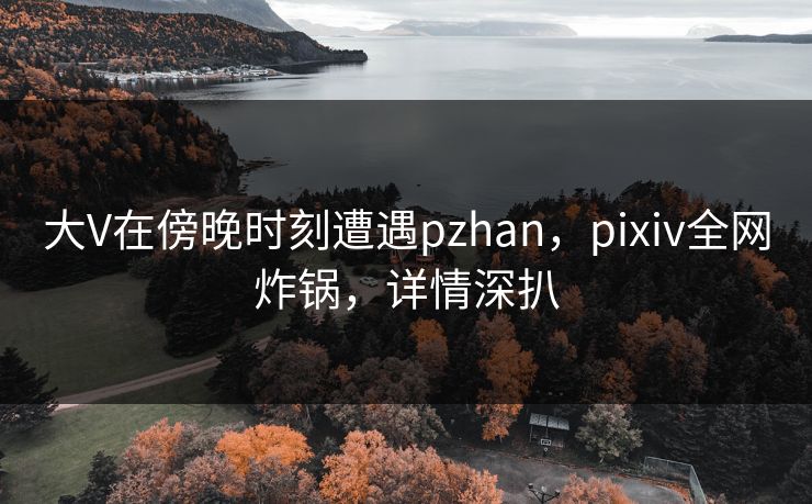 大V在傍晚时刻遭遇pzhan，pixiv全网炸锅，详情深扒