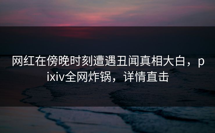 网红在傍晚时刻遭遇丑闻真相大白，pixiv全网炸锅，详情直击