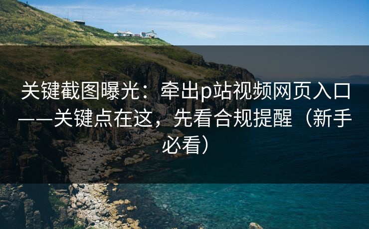 关键截图曝光：牵出p站视频网页入口——关键点在这，先看合规提醒（新手必看）