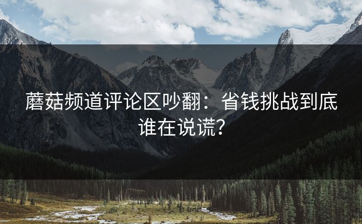 蘑菇频道评论区吵翻:省钱挑战到底谁在说谎? 蘑菇频道评论区吵翻:省钱挑战到底谁在说谎?
